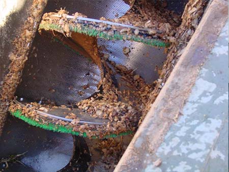 Screw Screen Screw Screen Mechanical Treatment