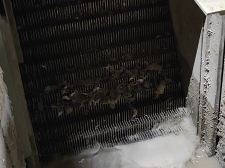 Step Screen Step Screen mechanical treatment